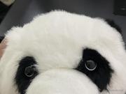 暖场小天使的个人资料头像