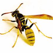 Charlie7285的个人资料头像