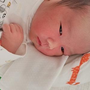 灿烂面条lx头像