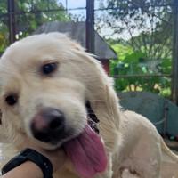 懂车弟的的弟弟头像