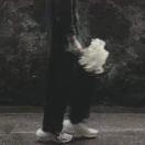 Connive的个人资料头像