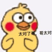 Ning_X_S的个人资料头像