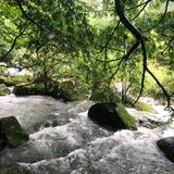 鹿邑海鲜水产头像