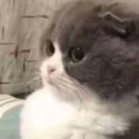 一条好听的名字头像