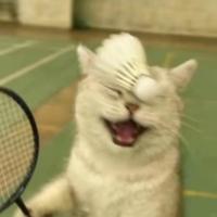 有礼貌的一航头像