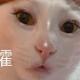 抬杠仙人头像