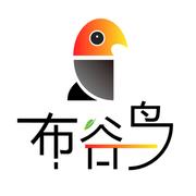 启山智软的个人资料头像