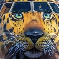 查布都德勒头像