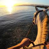 小关同学企业招聘头像