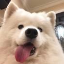 Liusu110226的个人资料头像