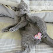 闺蜜秃头想上五台山的个人资料头像