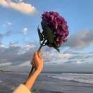 天龙科技夏Sir头像