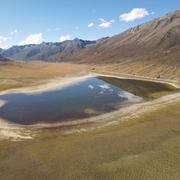 世伟165的个人资料头像