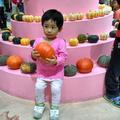 文文2012头像