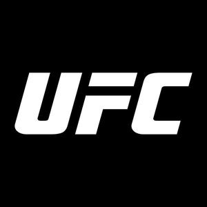 UFC终极格斗冠军赛