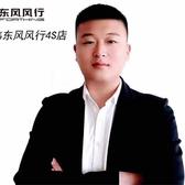 东风风行王彬头像