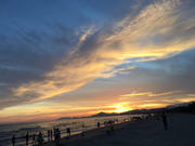 青蛙君的个人资料头像