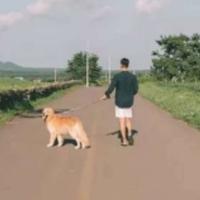 用户992595877560头像