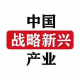 中国战略新兴产业头像