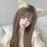 骑驴看天下5头像