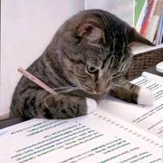 MicroGreen的个人资料头像