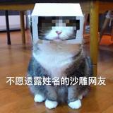 真心不敢想头像