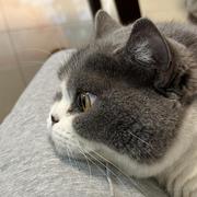 mini66的个人资料头像