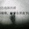 顽强辰星pHZ头像