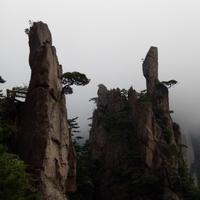 不凡的乖巧星球头像