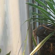 陈艳斌的个人资料头像