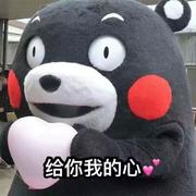 朱hengyu的个人资料头像