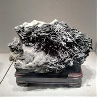 月中镜阳中明头像