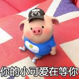 太仓促勒头像