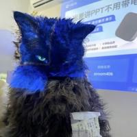 知名男模12138头像