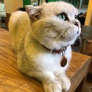 哈哈少儿860的个人资料头像