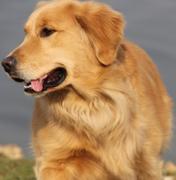 GameLife的个人资料头像