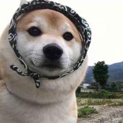 枫秋杂货铺的个人资料头像