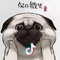 乔启轩头像