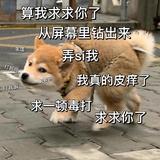 karzk头像