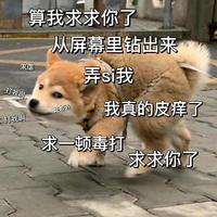 karzk头像