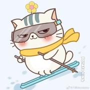 wilddd的个人资料头像