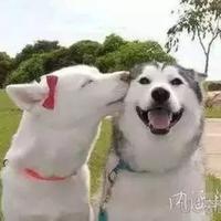 坦荡人生8049头像