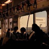 p²739头像