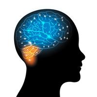 国家精神病医院院长头像