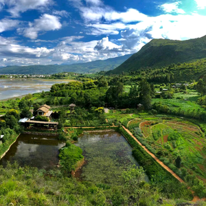 东京国志学头像