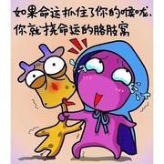 一颗好果子的个人资料头像