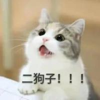 迷人8960头像