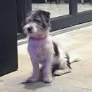 月下水光941的个人资料头像