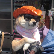 葱鸭_的个人资料头像