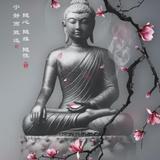 丶没有伞的孩子112头像